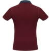 Рубашка поло мужская DNM Forward бордовая, размер XL (Изображение 2)