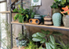Колонка с двумя динамиками Bamboo X, черный (Изображение 5)